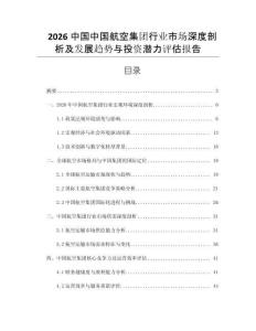 2026中國中國航空集團行業市場深度剖析及發展趨勢與投資潛力評估報告