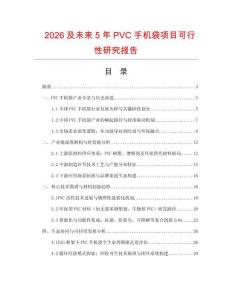 2026及未來5年PVC手機袋項目可行性研究報告