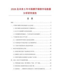 2026及未來5年中國橫開銅鎖市場數(shù)據(jù)分析研究報告