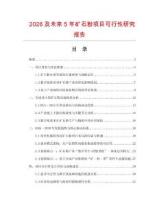 2026及未來5年礦石粉項目可行性研究報告