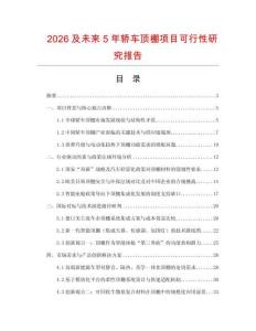 2026及未來5年轎車頂棚項目可行性研究報告