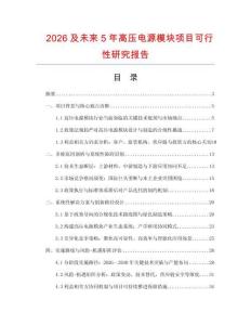 2026及未來(lái)5年高壓電源模塊項(xiàng)目可行性研究報(bào)告