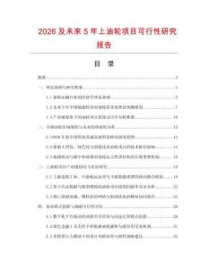 2026及未來5年上油輪項目可行性研究報告