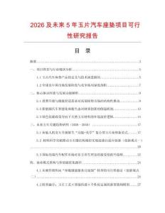 2026及未來5年玉片汽車座墊項目可行性研究報告