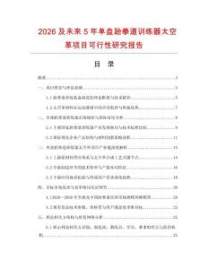 2026及未來5年單盤跆拳道訓練器太空革項目可行性研究報告
