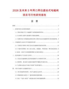 2026及未來5年兩口兩位直動式電磁閥項目可行性研究報告