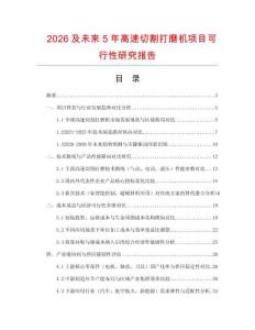 2026及未來5年高速切割打磨機(jī)項目可行性研究報告