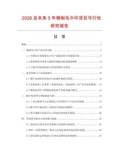 2026及未來5年銅制毛巾環項目可行性研究報告