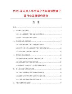 2026及未來5年中國小號電腦鋁板離子燙行業(yè)發(fā)展研究報告