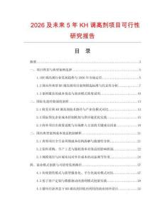 2026及未來5年KH調高劑項目可行性研究報告