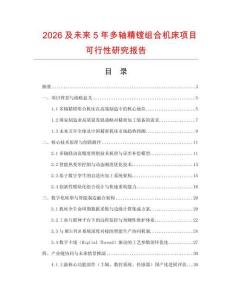 2026及未來5年多軸精鏜組合機床項目可行性研究報告