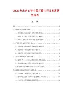 2026及未來5年中國打蠟巾行業發展研究報告