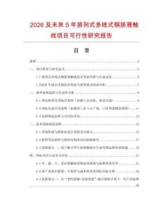 2026及未來5年排列式多線式銅排滑觸線項目可行性研究報告