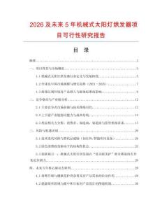 2026及未來5年機械式太陽燈烘發器項目可行性研究報告