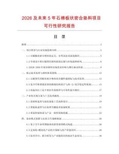2026及未來5年石棉板狀密合墊料項目可行性研究報告