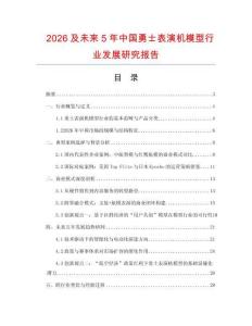 2026及未來5年中國勇士表演機模型行業發展研究報告