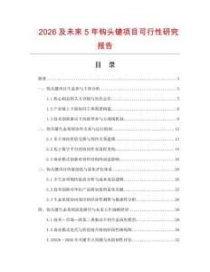 2026及未來5年鉤頭鍵項目可行性研究報告