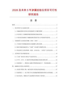 2026及未來5年滲漏巡檢儀項目可行性研究報告