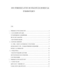 2025智能機器人應用行業市場分析及未來規劃與運營策略研究報告