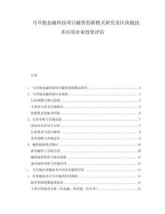 馬耳他金融科技項目融資創新模式研究及區塊鏈技術應用企業投資評估