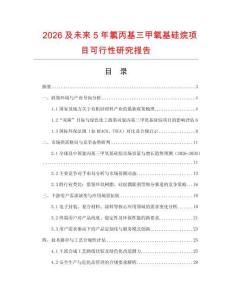 2026及未來5年氯丙基三甲氧基硅烷項目可行性研究報告