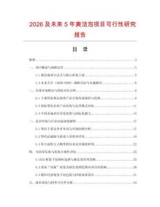 2026及未來5年爽潔泡項(xiàng)目可行性研究報(bào)告