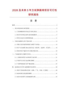 2026及未來5年方塊彈跳球項目可行性研究報告