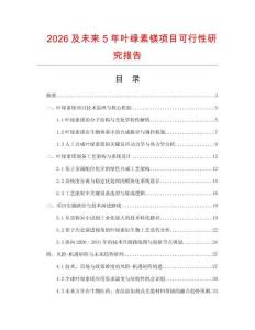 2026及未來5年葉綠素鎂項目可行性研究報告