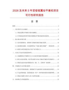 2026及未來5年豎錠錠翼動平衡機項目可行性研究報告