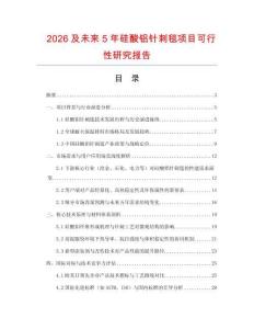 2026及未來5年硅酸鋁針刺毯項目可行性研究報告