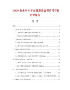 2026及未來5年光驅清潔盤項目可行性研究報告