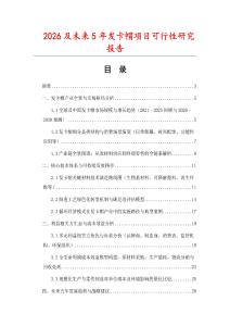 2026及未來5年發卡帽項目可行性研究報告