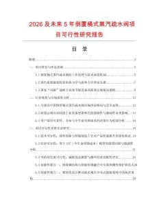 2026及未來5年倒置桶式蒸汽疏水閥項(xiàng)目可行性研究報告