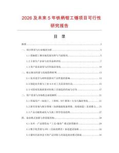 2026及未來5年鐵柄鉗工錘項目可行性研究報告