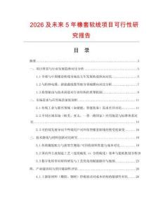 2026及未來5年橡套軟線項目可行性研究報告