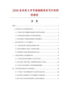 2026及未來5年羊絨拖鞋項目可行性研究報告