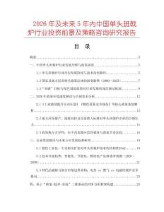 2026年及未來5年內中國單頭班戟爐行業投資前景及策略咨詢研究報告