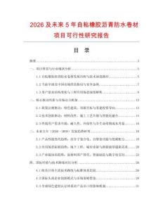 2026及未來5年自粘橡膠瀝青防水卷材項目可行性研究報告