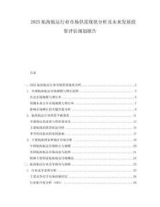 2025航海航運(yùn)行業(yè)市場(chǎng)供需現(xiàn)狀分析及未來發(fā)展投資評(píng)估規(guī)劃報(bào)告