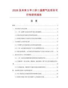 2026及未來5年二炒二溫燃氣灶項目可行性研究報告