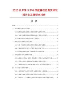 2026及未來5年中國氨基硅低黃變柔軟劑行業發展研究報告