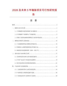 2026及未來(lái)5年碗墊項(xiàng)目可行性研究報(bào)告