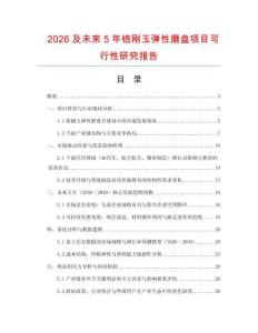 2026及未來5年鋯剛玉彈性磨盤項目可行性研究報告