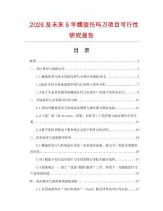 2026及未來5年螺旋托瑪刀項目可行性研究報告
