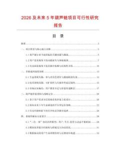 2026及未來5年葫蘆鏈項目可行性研究報告