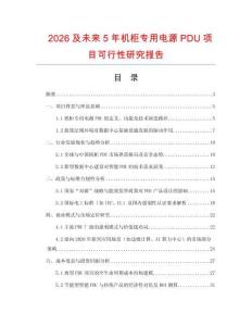 2026及未來5年機(jī)柜專用電源PDU項(xiàng)目可行性研究報(bào)告