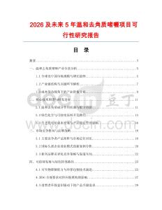 2026及未來5年溫和去角質啫喱項目可行性研究報告