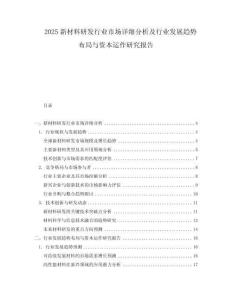 2025新材料研發行業市場詳細分析及行業發展趨勢布局與資本運作研究報告