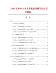 2026及未來5年光滑量規(guī)項(xiàng)目可行性研究報(bào)告