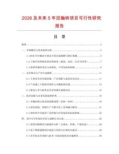 2026及未來5年田釉磚項目可行性研究報告